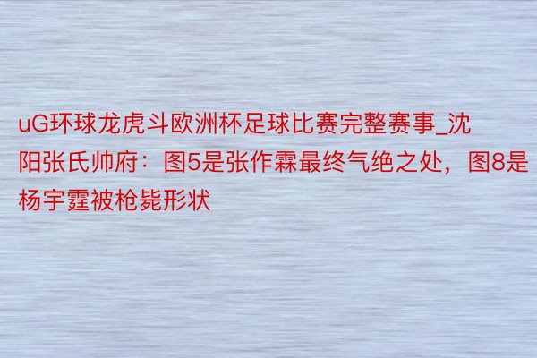 uG环球龙虎斗欧洲杯足球比赛完整赛事_沈阳张氏帅府：图5是张作霖最终气绝之处，图8是杨宇霆被枪毙形状